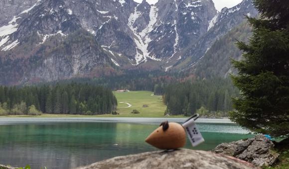 Lac de Fusine (Italy)